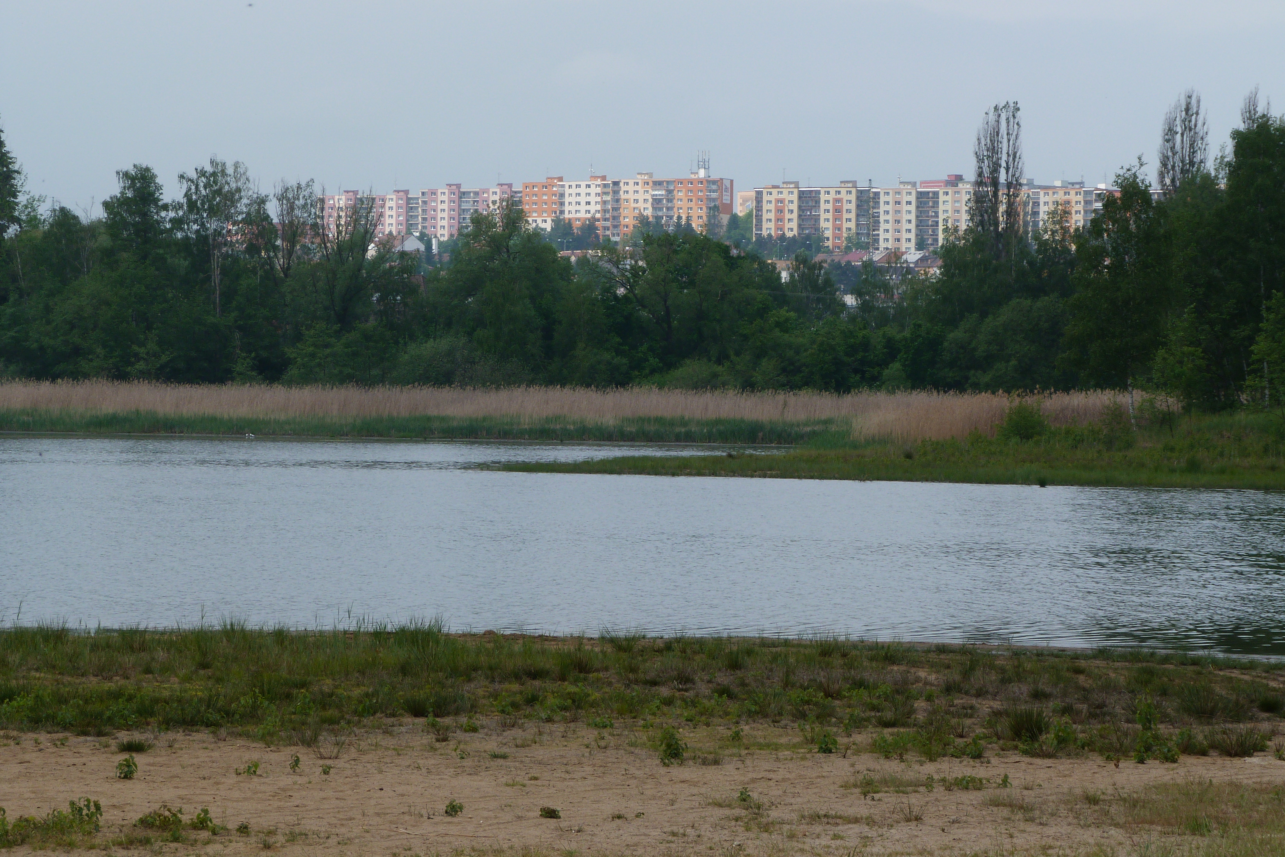 P1820492